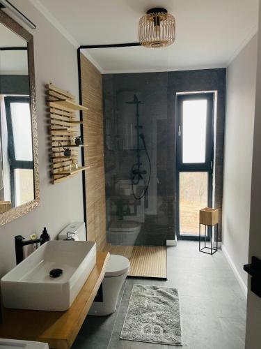 a bathroom with a sink and a toilet and a shower at Bran Place La Odaie in Şimon
