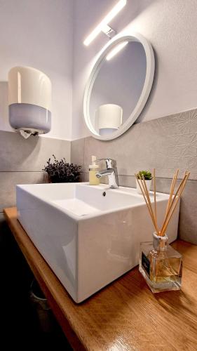 a bathroom with a white sink and a mirror at Colț Viu Deluxe in Şimon