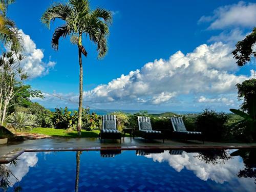 una piscina con due sedie e una palma di Las Terrazas Los Chivos a Vieques