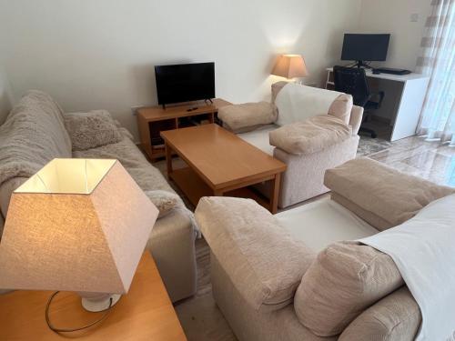 a living room with two couches and a tv at Seaview apartment with roof terrace in Kalecik
