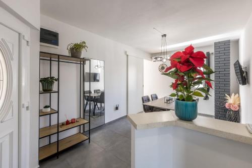 a kitchen and living room with a plant in a vase at Mala Kate Apartments in Kaštela