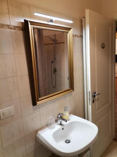 a bathroom with a sink and a shower with a mirror at La casa del fenicottero in SantÊ¼Angiolo a Lecore