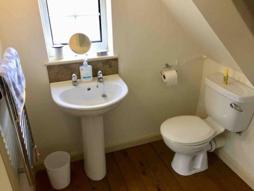 a bathroom with a sink and a toilet and a window at Grove Farm Loft Annexe Includes Continental Breakfast in Lincoln
