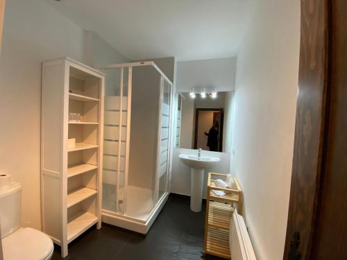 a bathroom with a shower and a sink and a toilet at Vitivola Els Esquiadors de Llorts HUT - 8250 in Llorts
