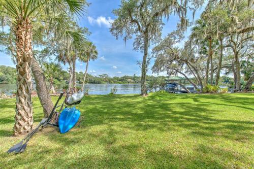 a swing in a park next to a palm tree at Riverbend Retreat Fla in Riverview