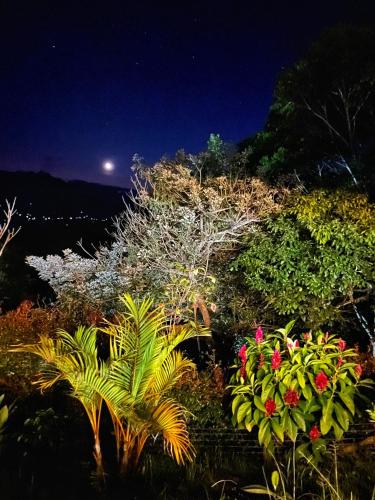 Un jardín fuera de Gulupa Ecolodge