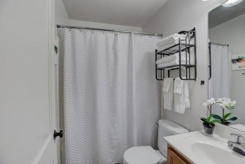 a bathroom with a shower and a toilet and a sink at Gated Retreat Steps from Midtown's Best Parking in Memphis