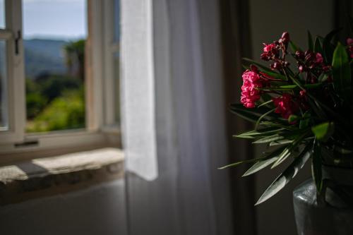 a vase with pink flowers sitting next to a window at Revelin Hvar in Stari Grad