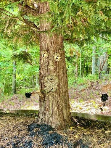 Nature is Calling Cabin – Photos 5