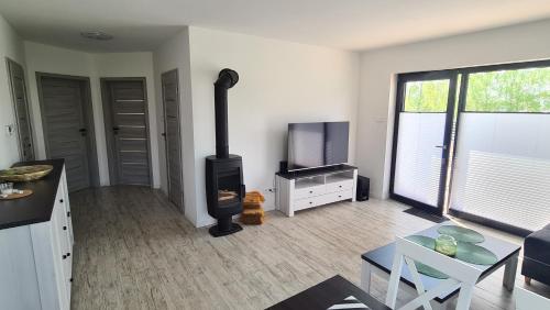 a living room with a stove and a tv at Wake domek Green House Januszkowice in Januszkowice