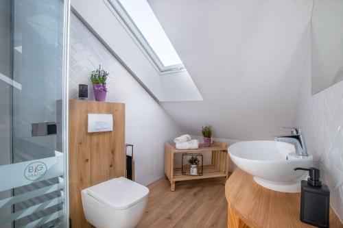 a bathroom with a white toilet and a sink at Big Marc in Krynica Zdrój