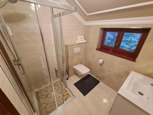 a bathroom with a shower and a toilet and a sink at Villa Rusalka in Tatranská Kotlina