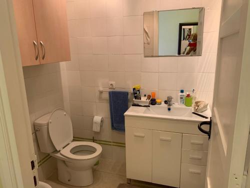 Kylpyhuone majoituspaikassa Apartment Navarro-Orlando