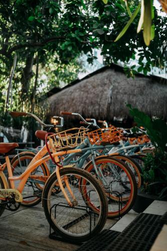 a row of bikes parked next to each other at Hostel Oryx Tulum in Tulum