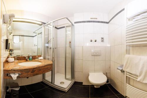 a bathroom with a shower and a sink and a toilet at Naturhotel Blaubach in Blaubach