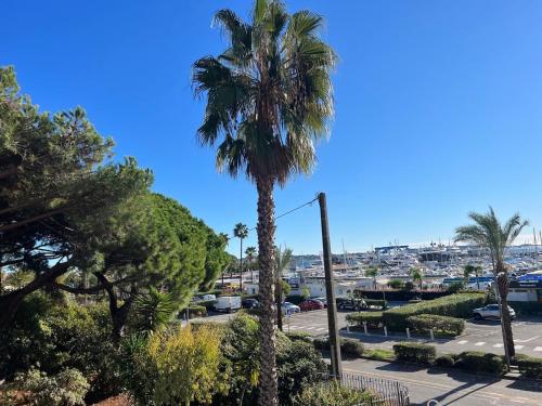 een palmboom op een parkeerplaats met een stad bij Seafront - beautiful flat with aircon and comfortable loggia in Vallauris