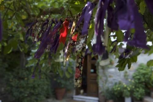 a bunch of purple flowers hanging from a tree at Nisanyan Hotel in Selcuk