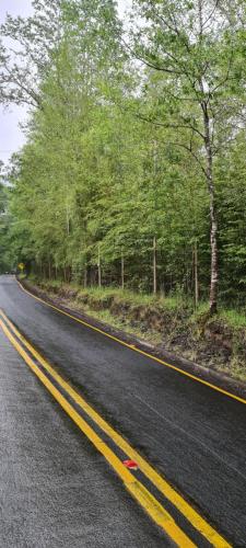 an empty road with trees on the side of the road at Eco lodge mediterraneas in Caburgua