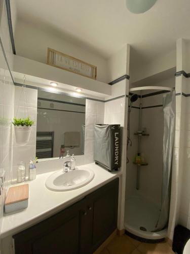 une salle de bain avec un lavabo et une douche dans l'établissement APPARTEMENT 4 PERSONNES PORT GRIMAUD - COTE D'AZUR, à Grimaud