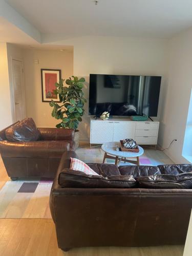 Super-Cute 2/2 apartment in Santa Monica with free parking photo 10