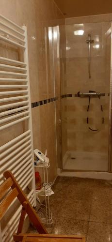 La salle de bains est pourvue d'une douche avec une porte en verre. dans l'établissement 3 private rooms shared flat in a villa at Sceaux 600m RER B direct to Notre-Dame, à Sceaux