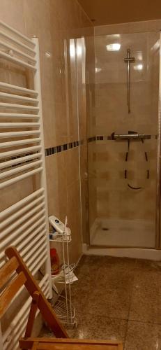 W łazience znajduje się prysznic ze szklanymi drzwiami. w obiekcie 3 private rooms shared flat in a villa at Sceaux 600m RER B direct to Notre-Dame w mieście Sceaux