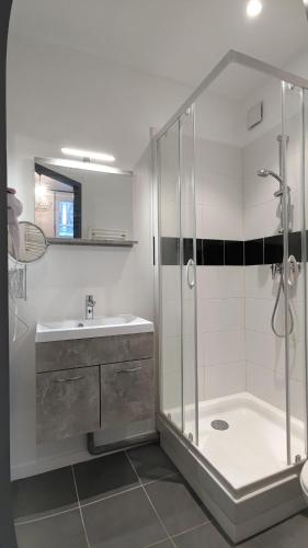a bathroom with a shower and a sink at Studio confortable au cœur de Rouen in Rouen