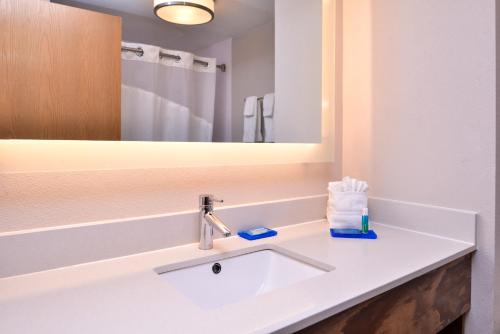 a bathroom with a sink and a mirror at Holiday Inn Express Hotel & Suites Tampa-Anderson Road-Veterans Exp by IHG in Tampa