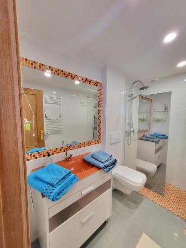 bagno con lavandino, servizi igienici e specchio di Apartamento Santa Agueda a Burgos