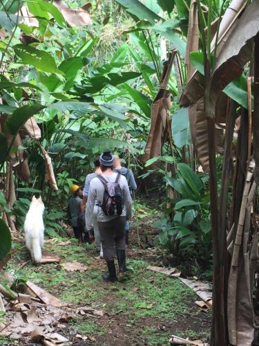 Επισκέπτες που μένουν στο Eden Jungle Lodge