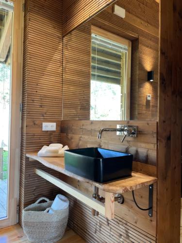 a bathroom with a sink on a wooden wall at Olladas de Barbeitos in Fonsagrada