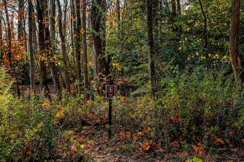 a sign in the middle of a forest at The Ship's Bridge in Annapolis
