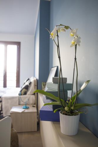 a plant in a pot on a table in a room at Residence Milano Bicocca in Milan