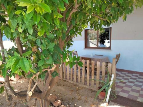 a tree next to a wooden bench next to a building at Casa Laranjeira in Tavira