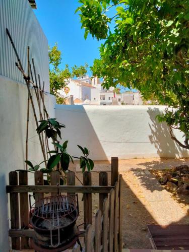 a potted plant in a basket next to a fence at Casa Laranjeira in Tavira