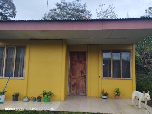 Finca la montaña