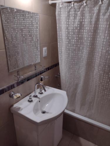 y baño con lavabo y ducha. en Monoambiente Céntrico en Santa Fe