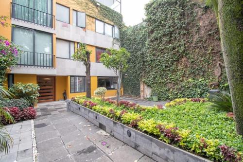 un jardín frente a un edificio en San Ángel Colonial, en Ciudad de México