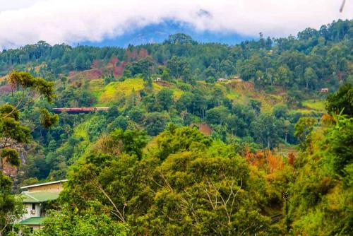 a hillside with a train traveling through a forest at Eminence ella in Ella