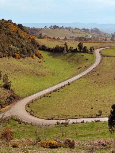 a winding road in the middle of a field at Refugio Pullao in Quilquico