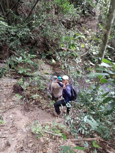 two people walking down a trail in the woods at Bee Bee's Chalets home stay and trekking in Banlung