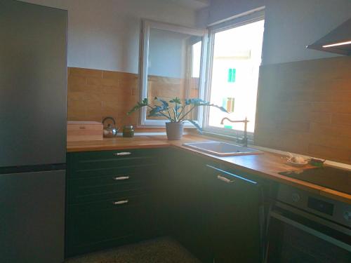 cocina con encimera, fregadero y ventana en Lotte's Guesthouse, en Livorno