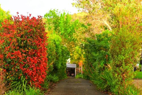 a path through a garden with red flowers and trees at Harbour View Retreat Mangonui in Mangonui