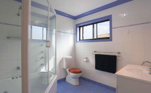 a bathroom with a toilet and a shower and a sink at Dromaius 6 in Jindabyne
