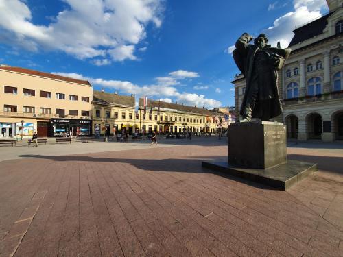 a statue in the middle of a plaza with buildings at Hotel Vojvodina in Novi Sad