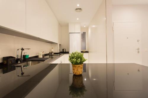 a kitchen with a plant in a vase on the floor at Apartamento San Isidro Centro in Granada