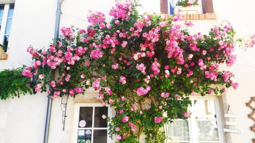 une corbeille suspendue de fleurs roses sur un bâtiment dans l'établissement Les Salamandres, chambres d'hôtes près de Chambord, à Montlivault