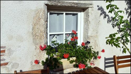 une fenêtre avec des fleurs rouges dans une boîte de fenêtre dans l'établissement Les Salamandres, chambres d'hôtes près de Chambord, à Montlivault