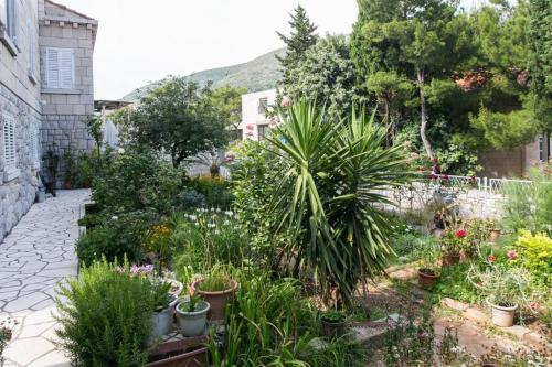 a garden with plants and flowers in a yard at Yellow Room Guesthouse in Dubrovnik