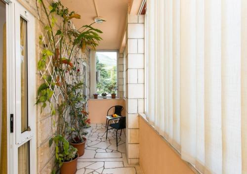 un pasillo con macetas y una ventana en Yellow Room Guesthouse, en Dubrovnik